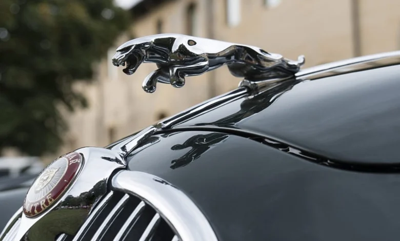 ورشة جاكوار في جدة