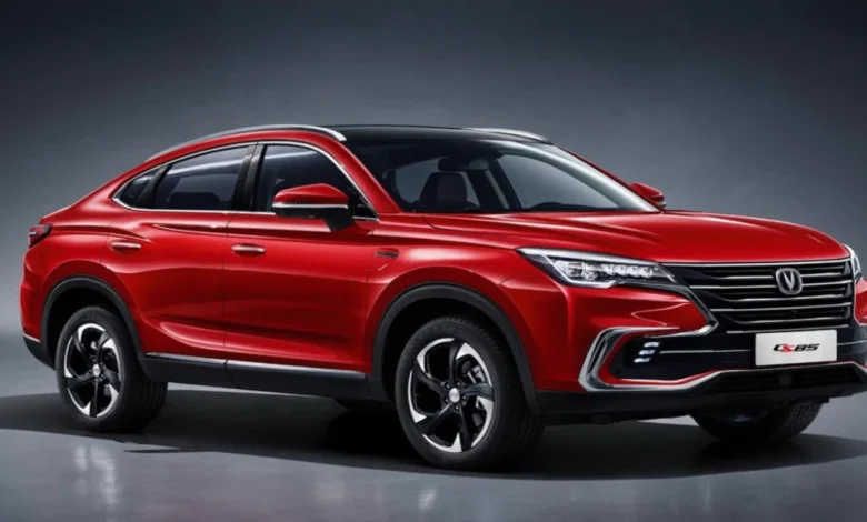 افضل ورشة شانجان في الرياض